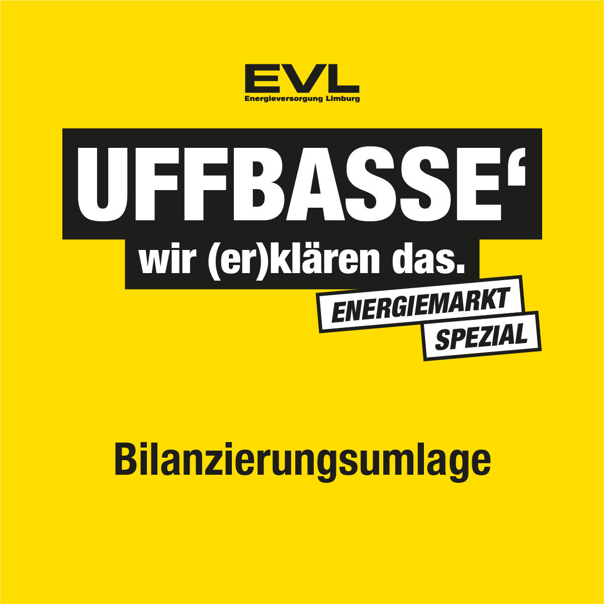 Bilanzierungsumlage test